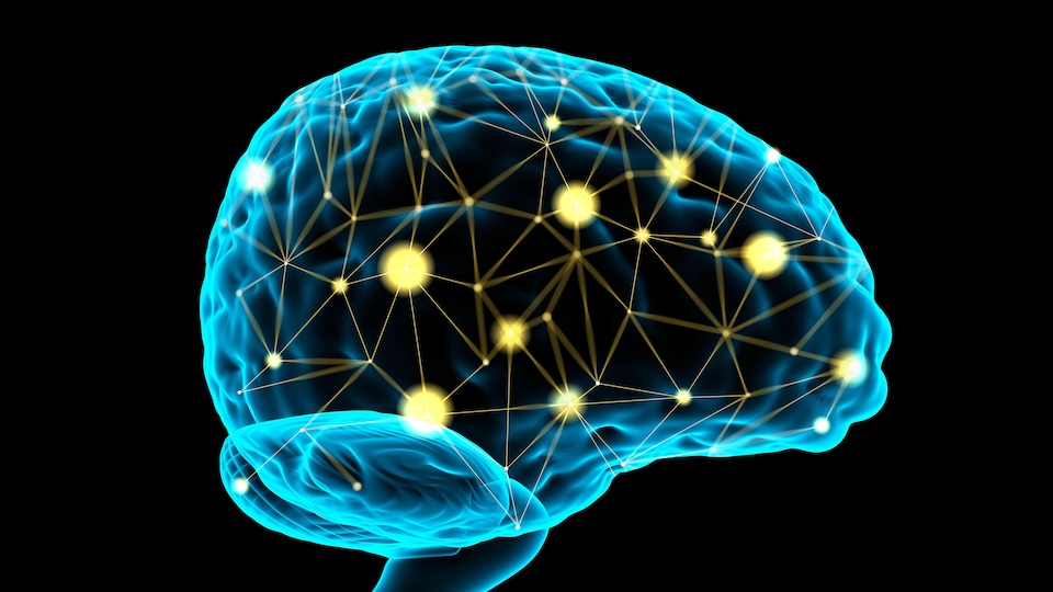 Image conceptuelle d'un cerveau de profil avec des lignes reliées à l'intérieur formant des points plus ou moins lumineux à leurs jonctions. 