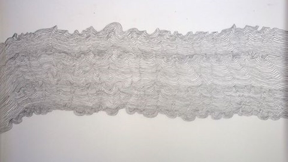 Oeuvre de Natasha Durand, faisant partie de l'exposition Cicatrices de Bélugas