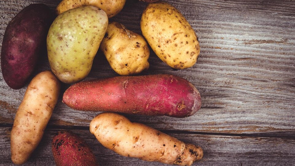 Découvrir les nombreuses variétés de pommes de terre du Québec