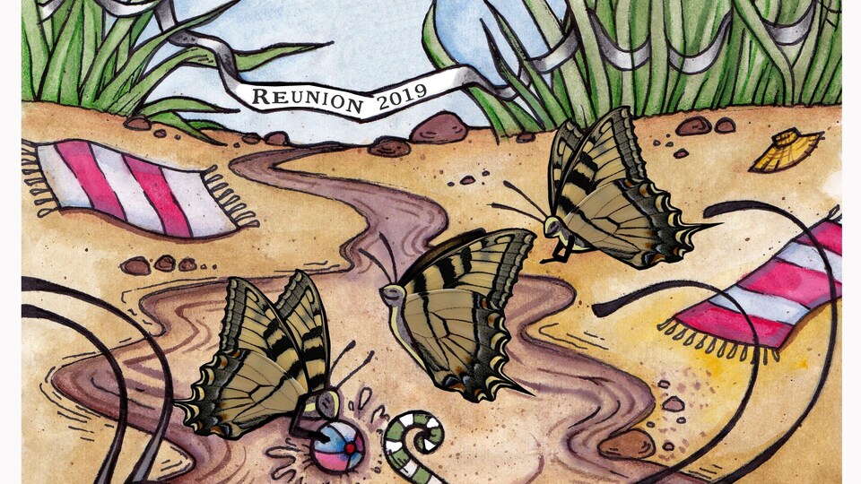 Trois papillons s'amusent sur une plage avec un ballon.