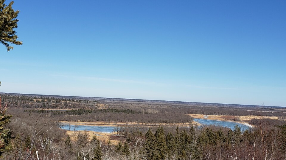 Une partie du parc provincial Spruce Woods : un paysage d'arbres qui entoure une étendue d'eau.