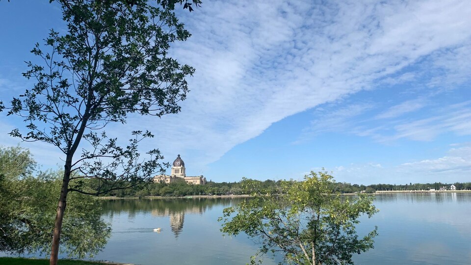 Des arbres près d'un lac sous un ciel à dégagé