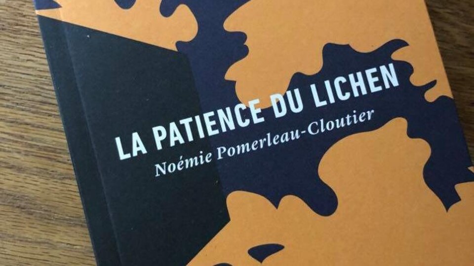 La page couverture du recueil de Noémie Pomerleau Cloutier La patience du lichen.