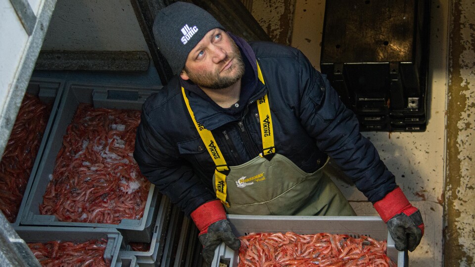 Rémy Element dans la cave du navire avec des bacs de crevettes nordiques. 