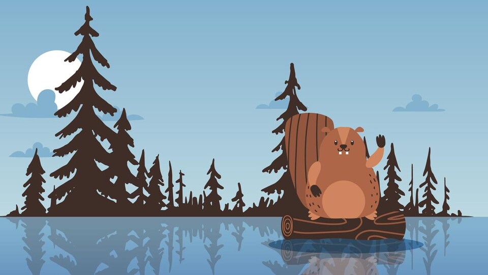 Illustration d'un castor qui flotte sur un rondin de bois.