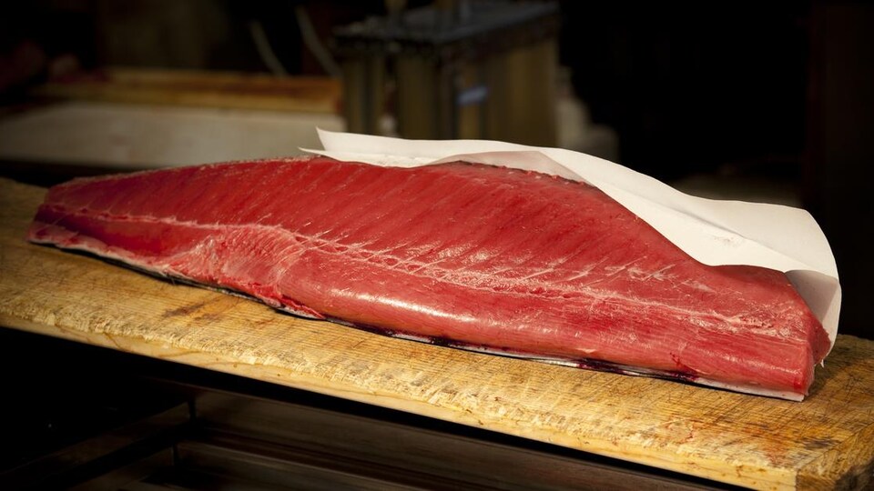 Un énorme filet de thon cru posé sur un comptoir en bois.