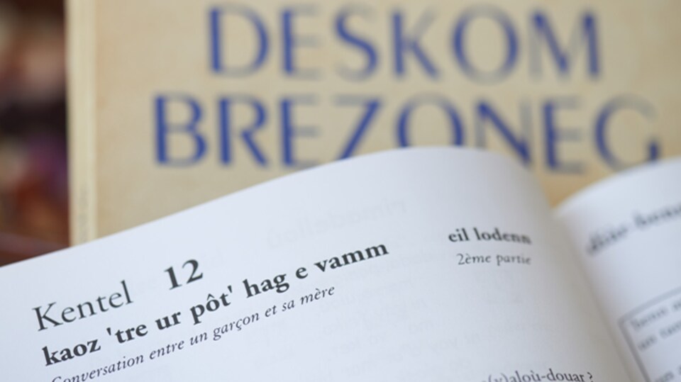 Photo d'une page d'un livre sur laquelle est écrit une leçon en breton.