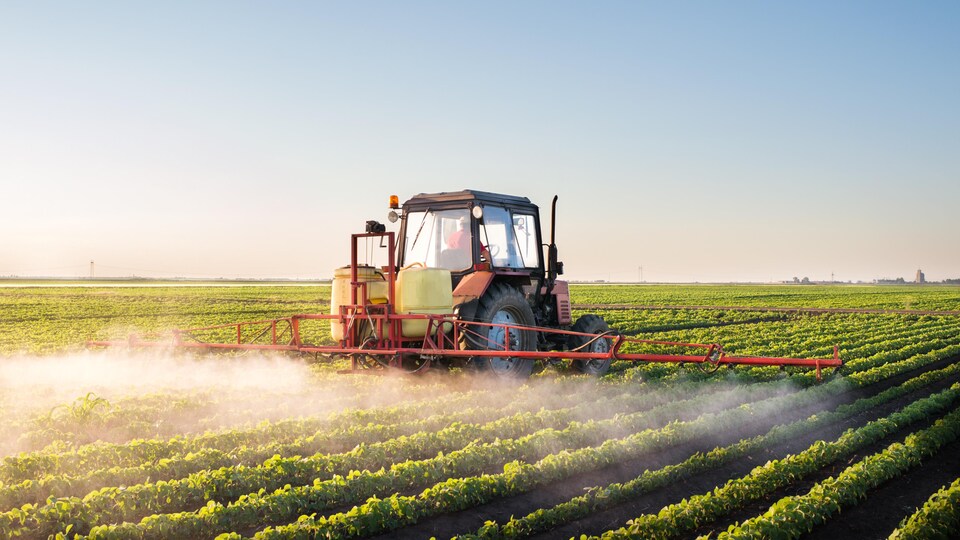 Un tracteur déverse un produit dans un champ.