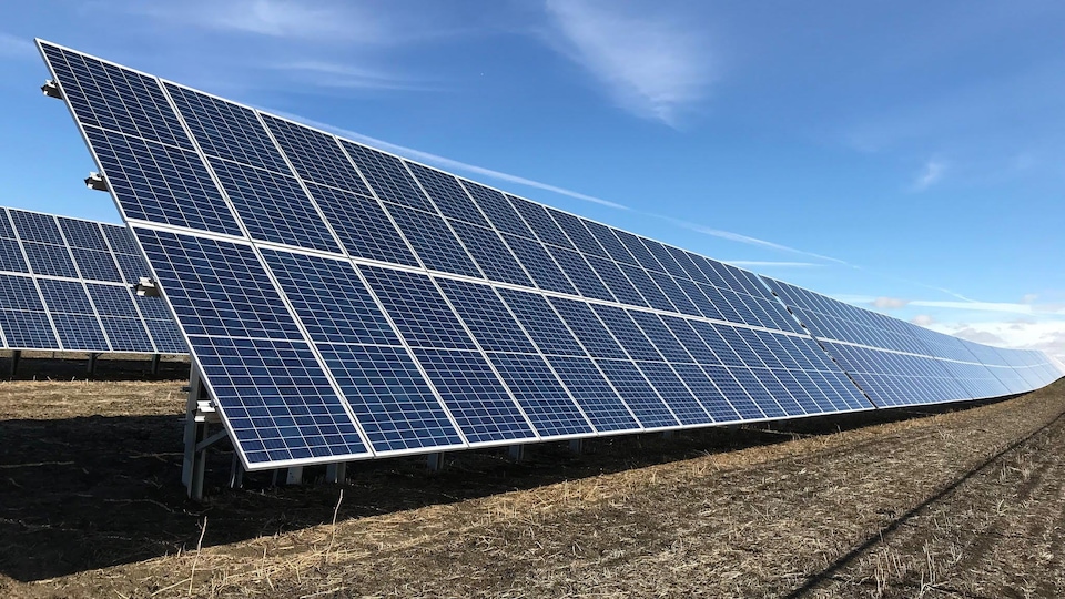 Des panneaux solaires installés sur le sol en Saskatchewan. 