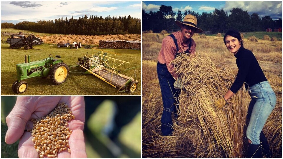 Un collage de photo d'une ferme à l'ancienne
