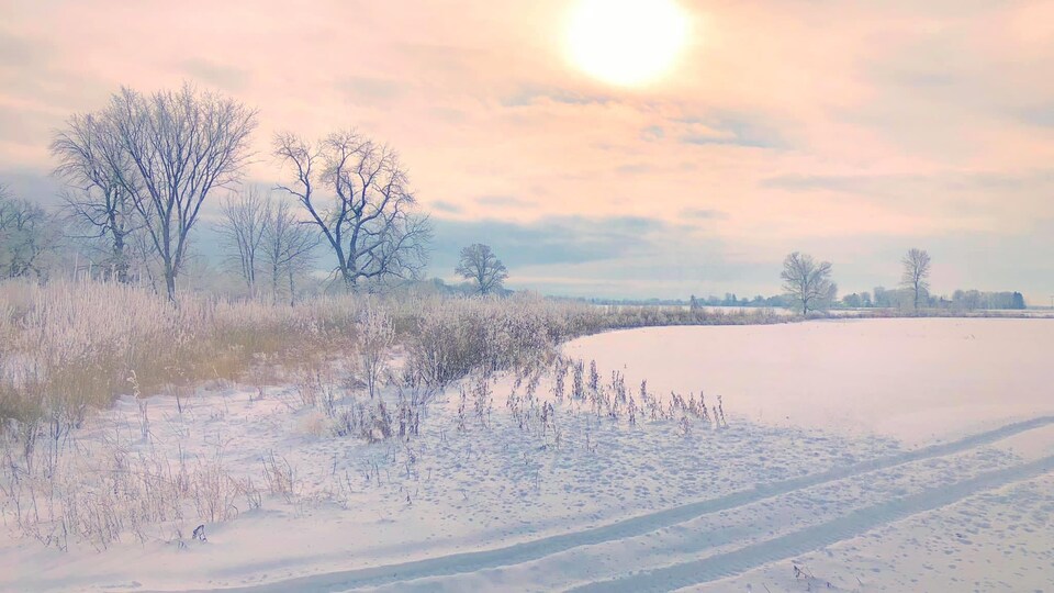 Paysage d'hiver en campagne.