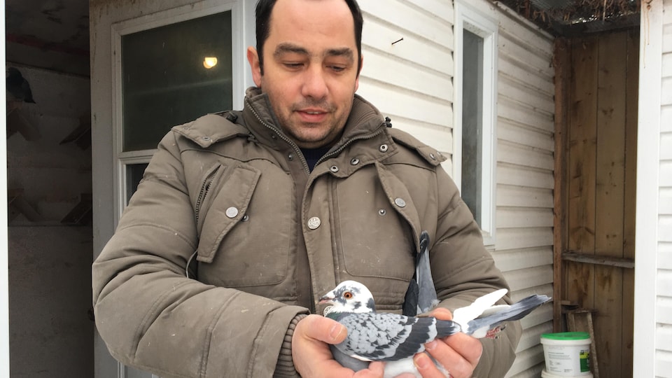 Boyco Atanassov tient des pigeons dans ses mains, à l'extérieur de son columbarium. 