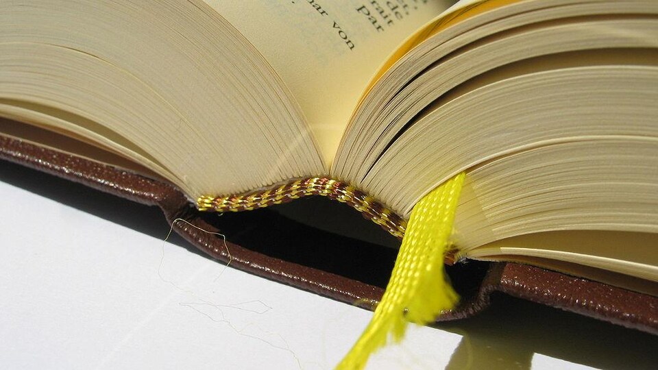 Un livre ouvert.