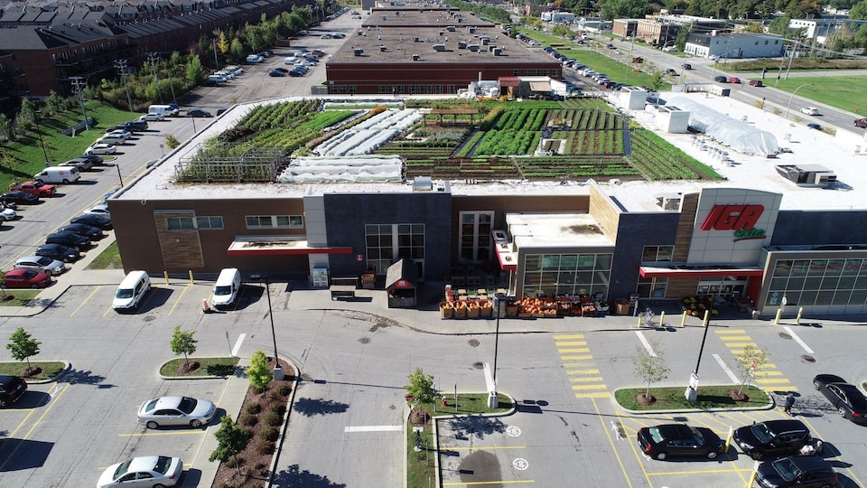Vue aérienne d'un immense jardin sur le toit d'un supermarché IGA.
