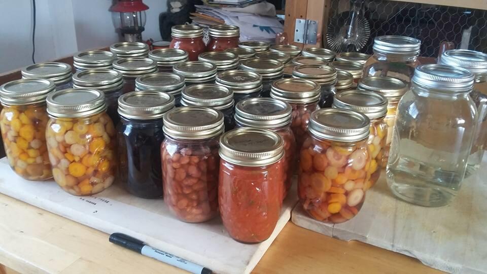 Les conserves d'Annie Roy-Tremblay sur une tablette : des légumes, sauce et légumineuses.