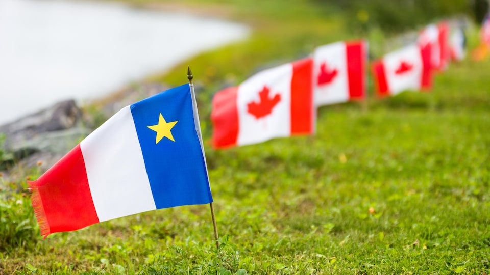 Un drapeau acadien planté dans la pelouse devant plusieurs drapeaux du Canada.