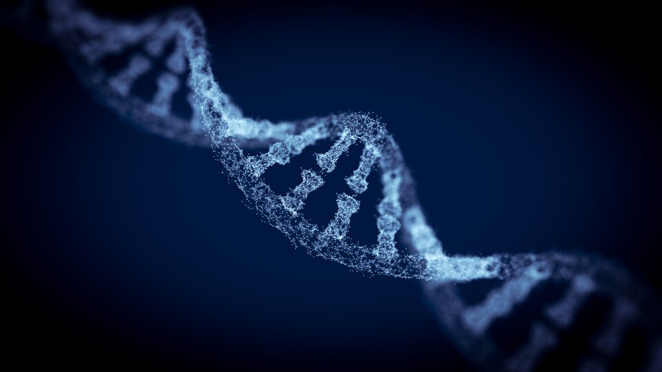 Une représentation en trois dimensions d'une branche d'ADN composée de dizaines de minuscules points blancs sur un fond bleu sombre.