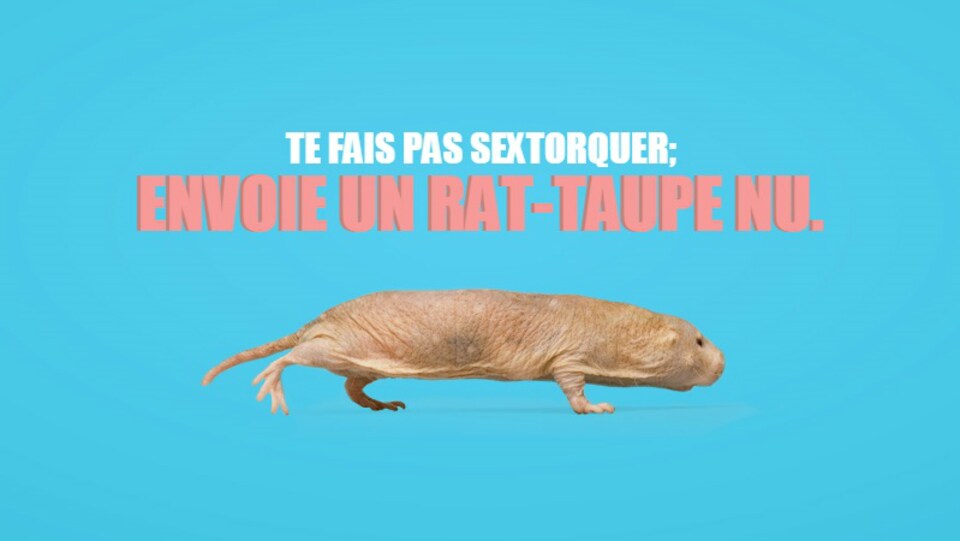 Un Rat Taupe Nu Pour Contrer La Sextorsion