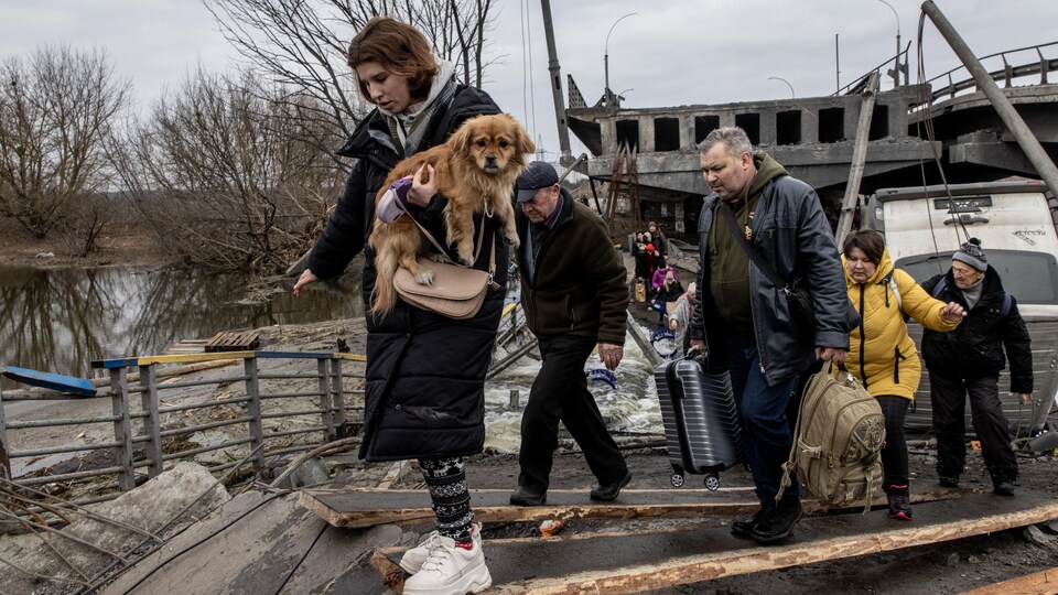 Une femme tenant un chien dans ses bras, suivie d'une file de réfugiés.