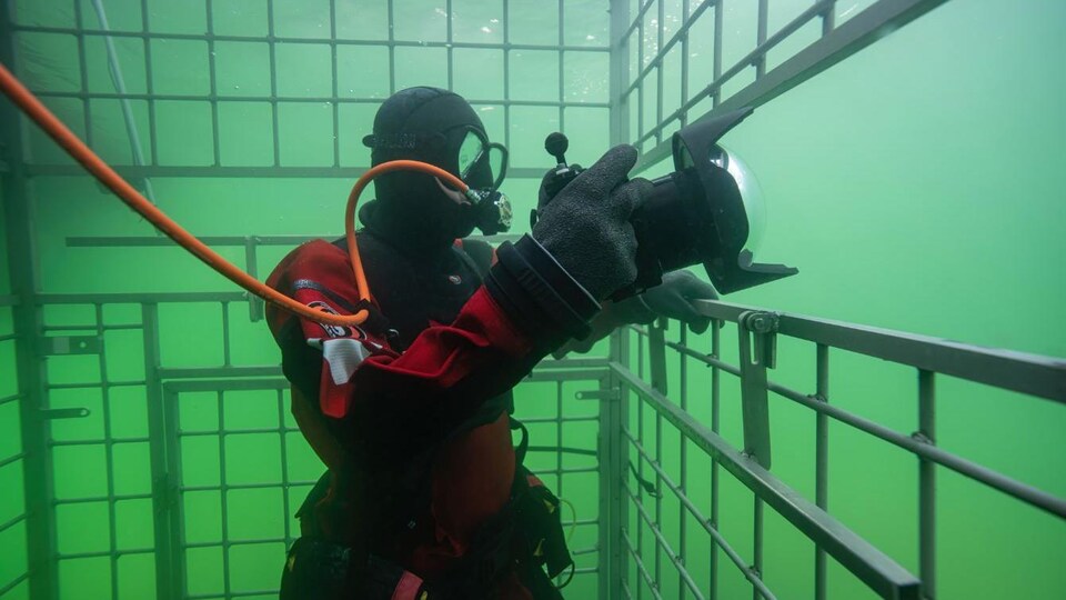Un plongeur dans une cage sous l'eau.