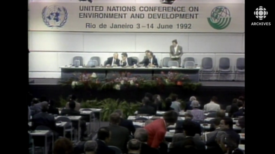 Vue de la réunion lors du Sommet de Rio de Janeiro en 1992