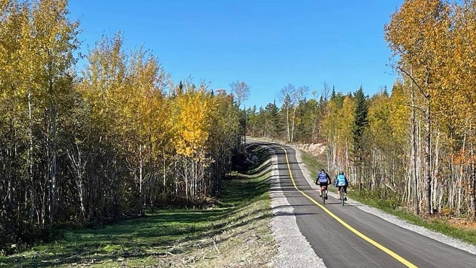 Deux cyclistes sur un large piste bidirectionnelle ceintrée d'arbres.
