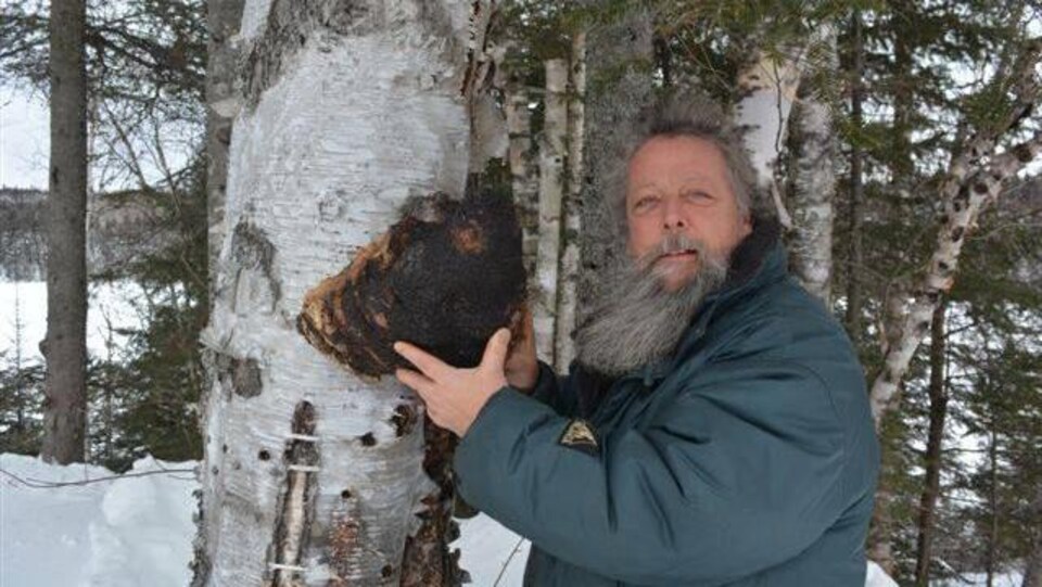 Russel Tremblay, propriétaire de l'entreprise Saveurs boréales, nous montrant un champignon sur un arbre.