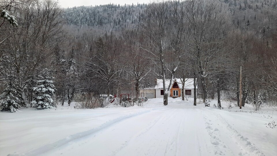 Un maison à travers les arbres, au bout d'un chemin enneigé.