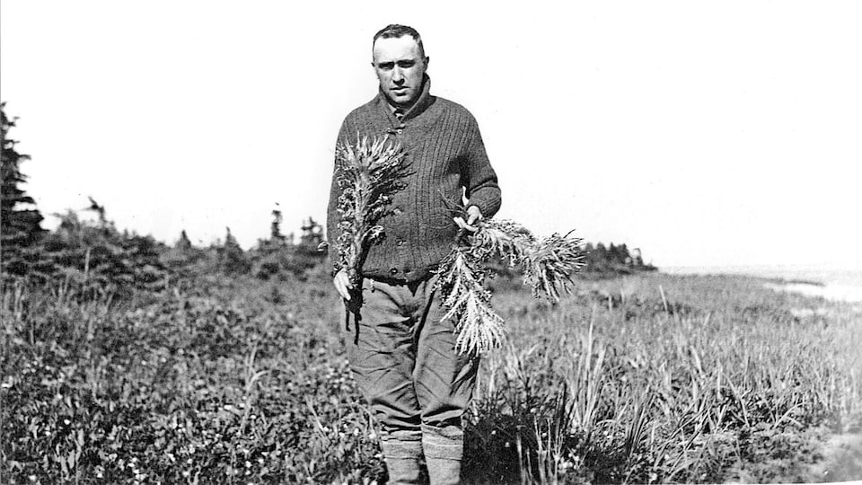 Conrad Kirouac (frère Marie-Victorin) en 1928 à la grande île à la vache marine, dans le golfe du Saint-Laurent, tenant un chardon de Mingan (cirsium minganense), une espèce de chardon qu'il avait identifiée en 1924.