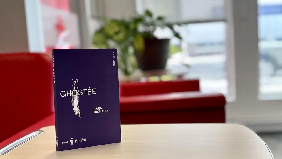Un livre violet sur une petite table, avec des plantes et des fauteuils rouge en arrière-plan.