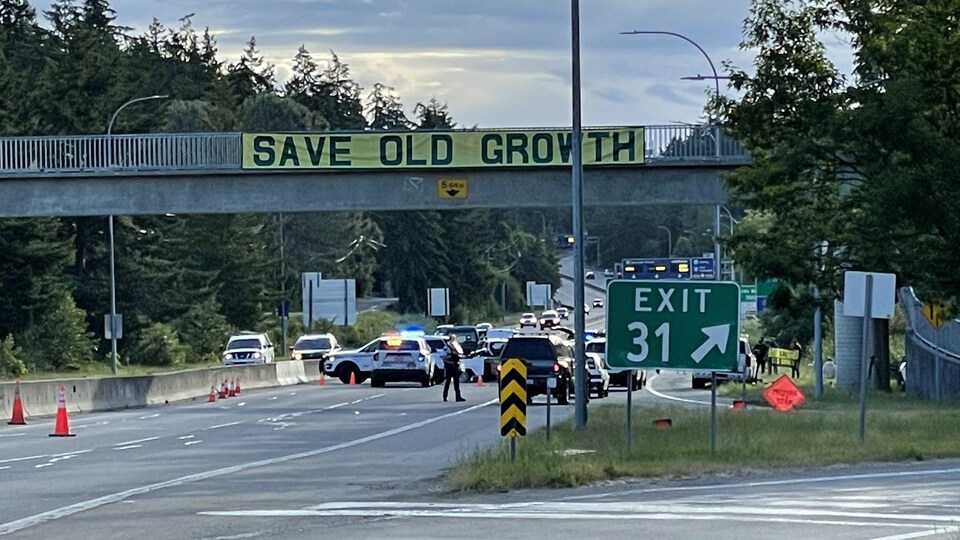 Les manifestants du groupe Save Old Growth bloquent la route Patricia Bay, le 13 juin 2022, sur l'île de Vancouver.