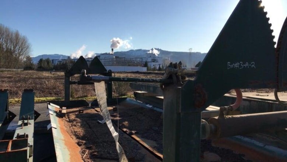 Une usine de scierie en pleine construction