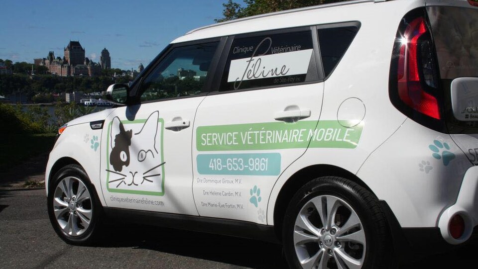 Martine Rencontre La Veterinaire Dr Natasha Barrette Premiere Heure dr natasha barrette