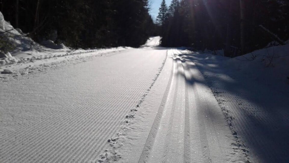 Des pistes de ski de fond au Club de ski de fond Rapido, à Sept-Îles