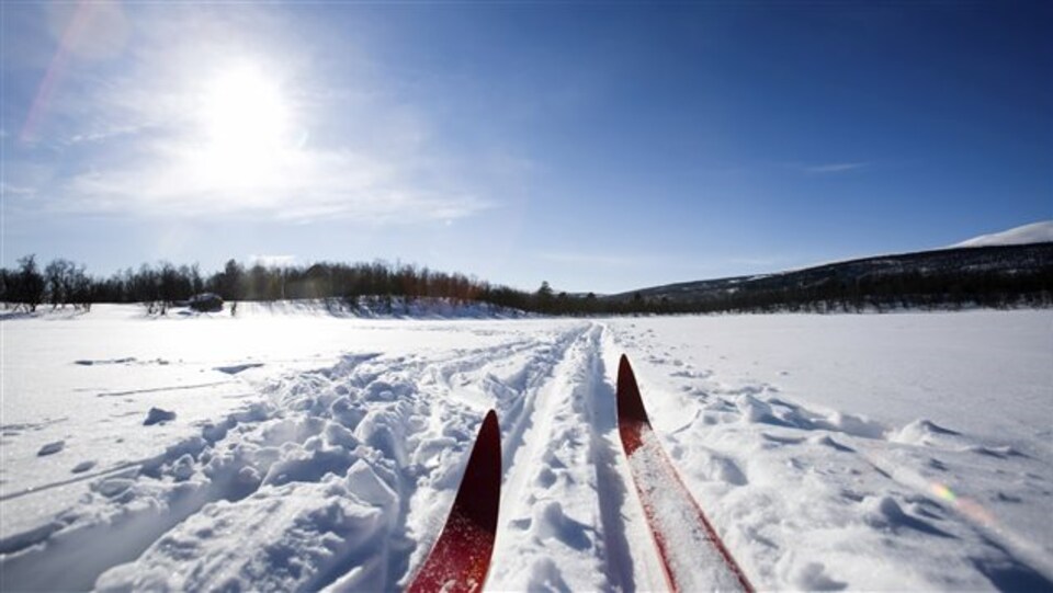 On voit deux avants de ski dans la neige.