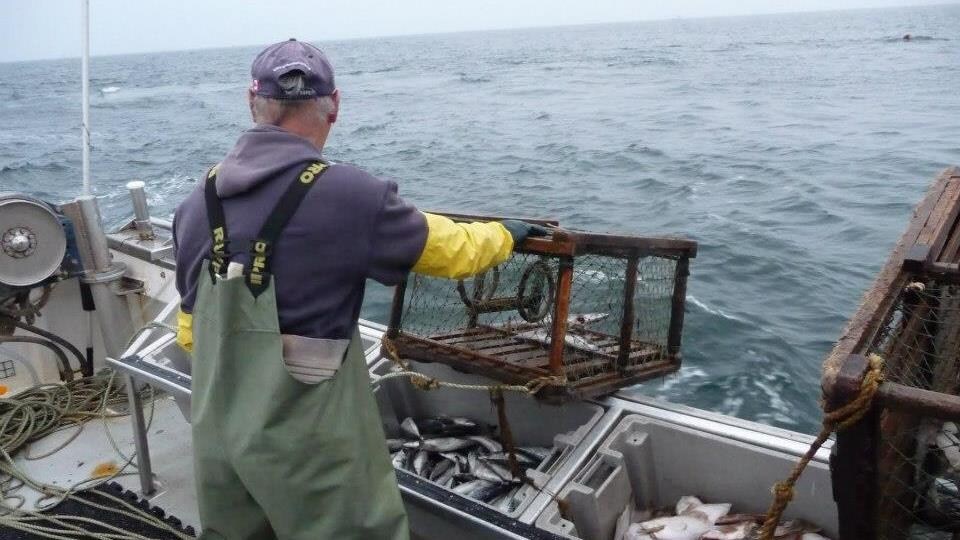 Un pêcheur sur un bateau met une cage à homard à l'eau.