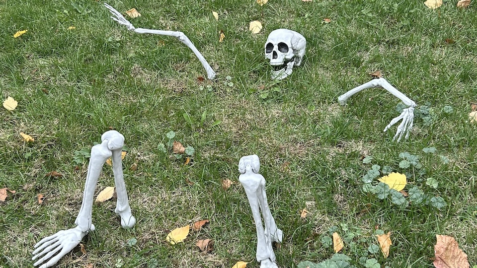 Un squelette d'halloween posé sur le sol. 
