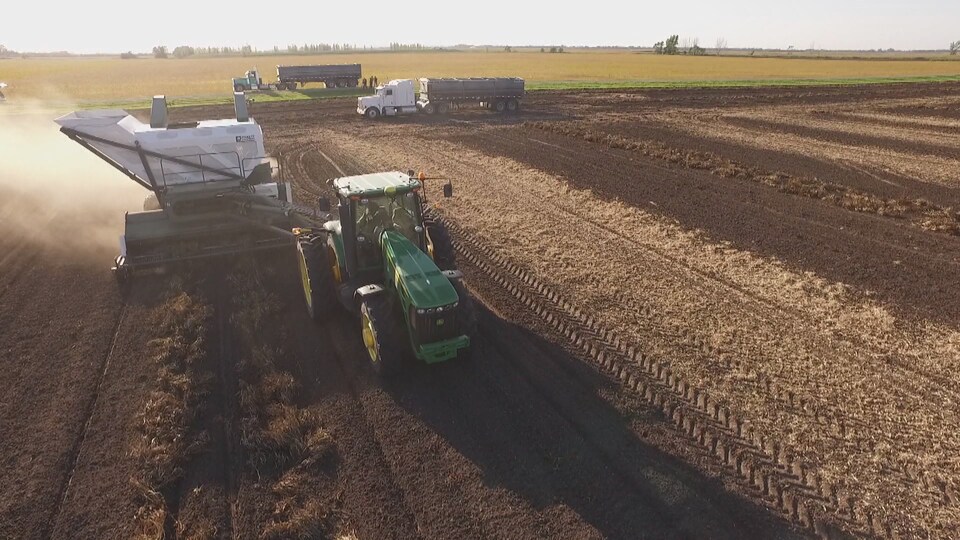 Un tracteur travaille la terre dans un grand champs agricole, avec deux autres camions en arrière-plan.