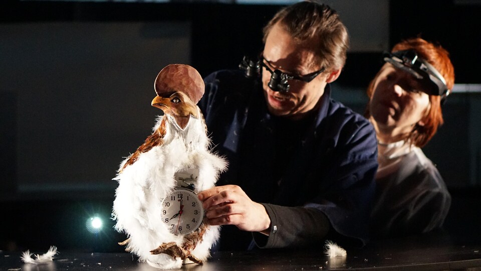 Deux scientifiques scrutent une poule