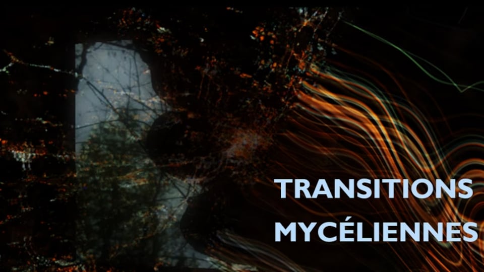 Une image un peu flou de la nature avec le texte «Transitions mycéliennes».