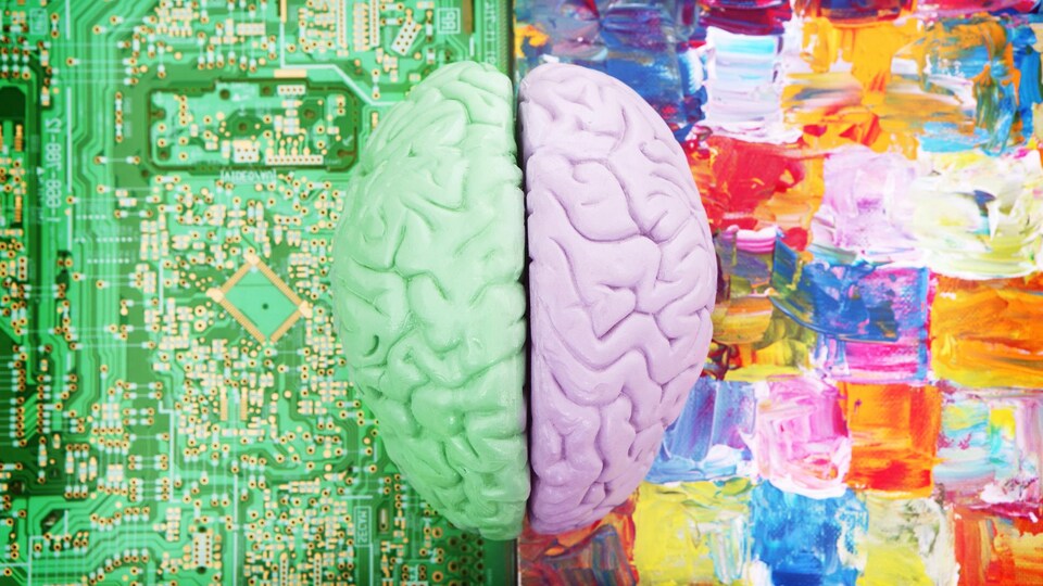 Un cerveau coupé en deux qui représente les hémisphères.