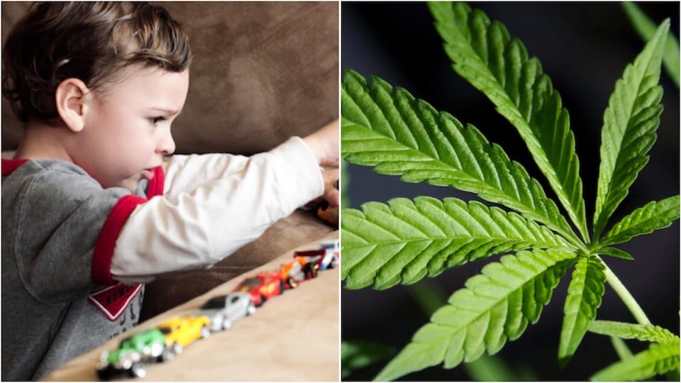 Montage photo avec un enfant et une feuille de cannabis. 