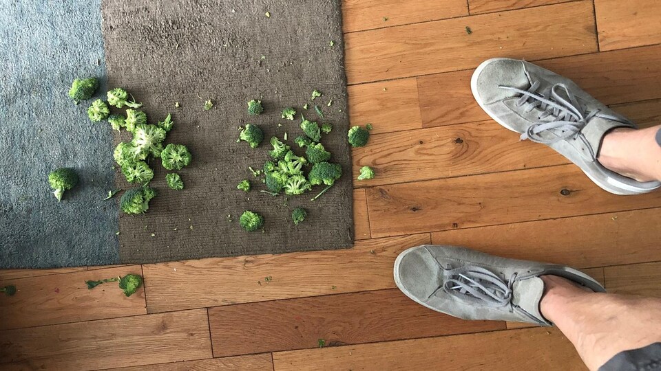 Des morceaux de brocoli tombés sur un tapis.