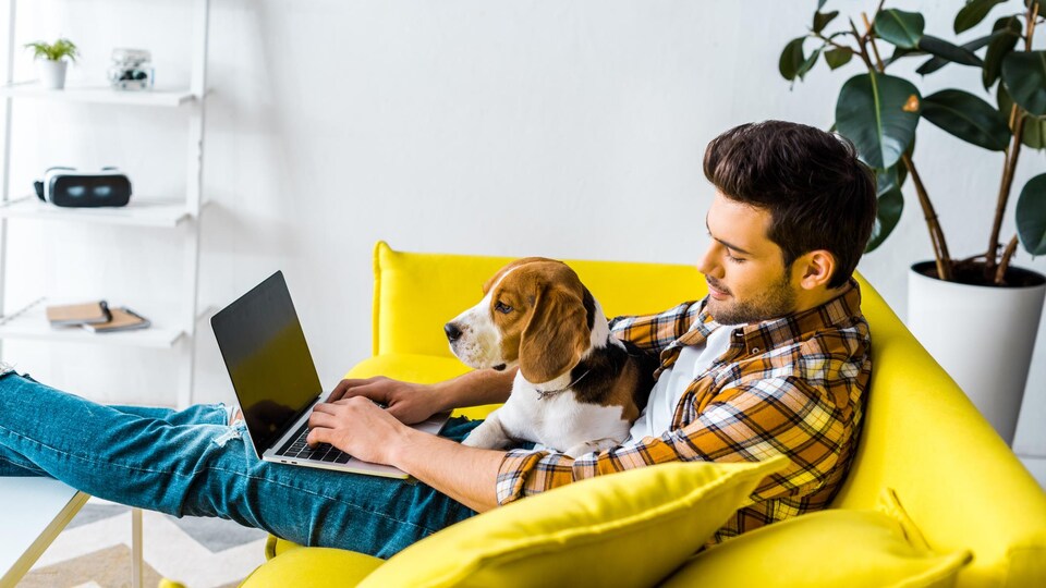 Un homme assis sur son divan avec un chien travaille à l'ordinateur.