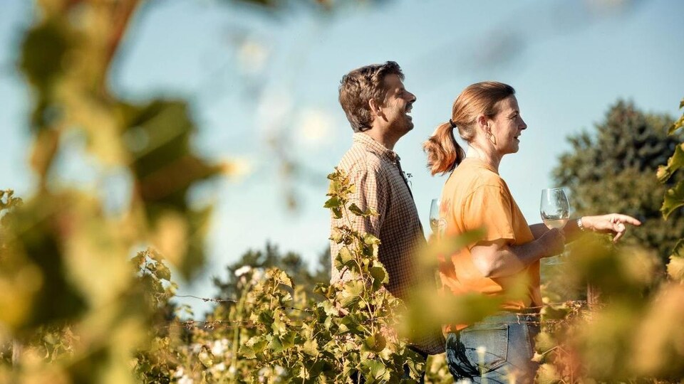 Deux personnes marchent dans un vignoble, une coupe à la main.