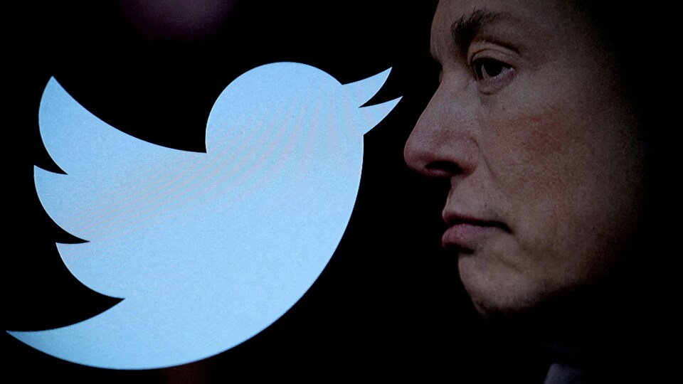 Illustration du logo de Twitter en forme de petit oiseau bleu et du visage de profil d'Elon Musk. 