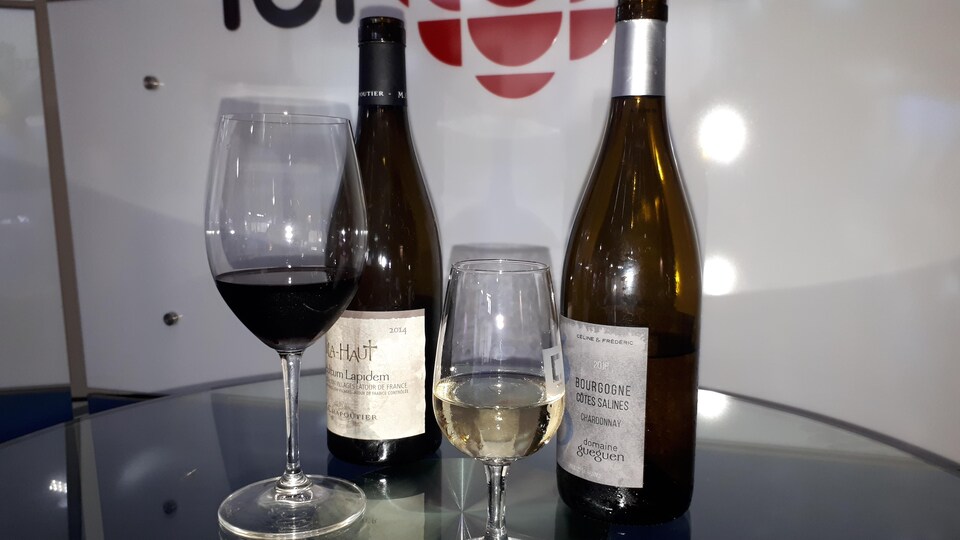 Un blanc de Bourgogne, un blanc argentin et un rouge du Rousillon.
