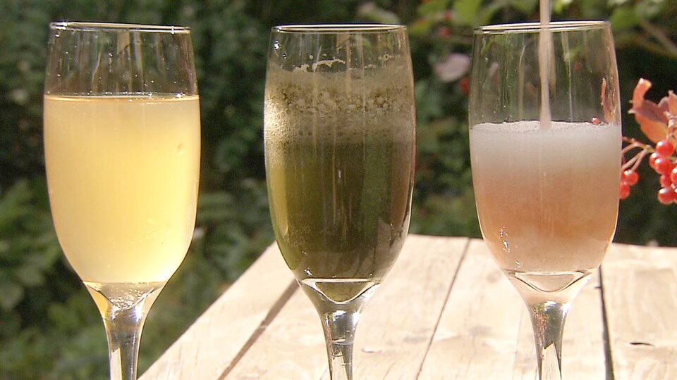 Des verres de kombucha de différentes couleurs sont présentés sur une table en bois.