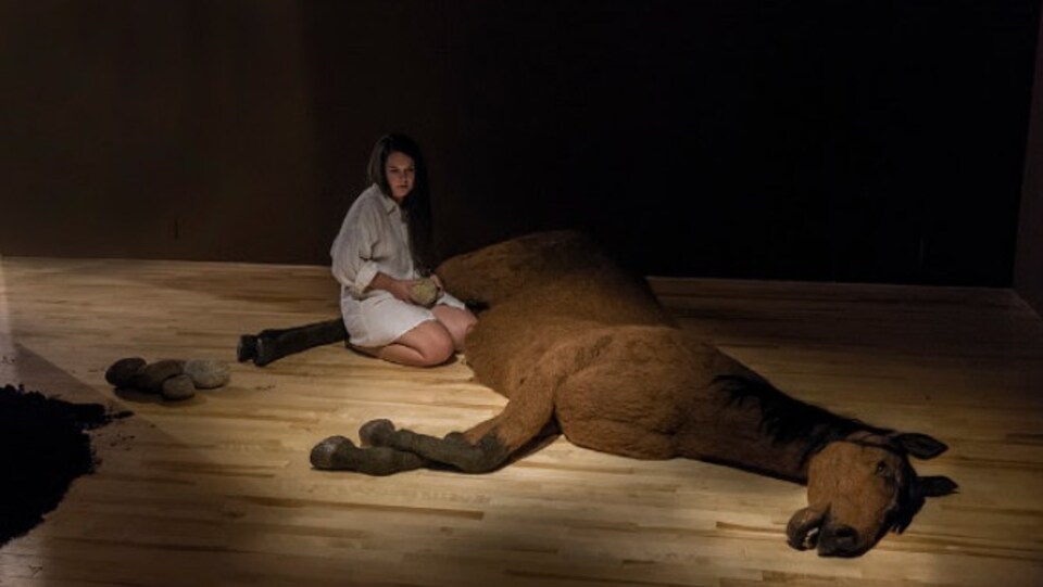 Vicky Sabourin présente « Living with a Horse in my bedroom »