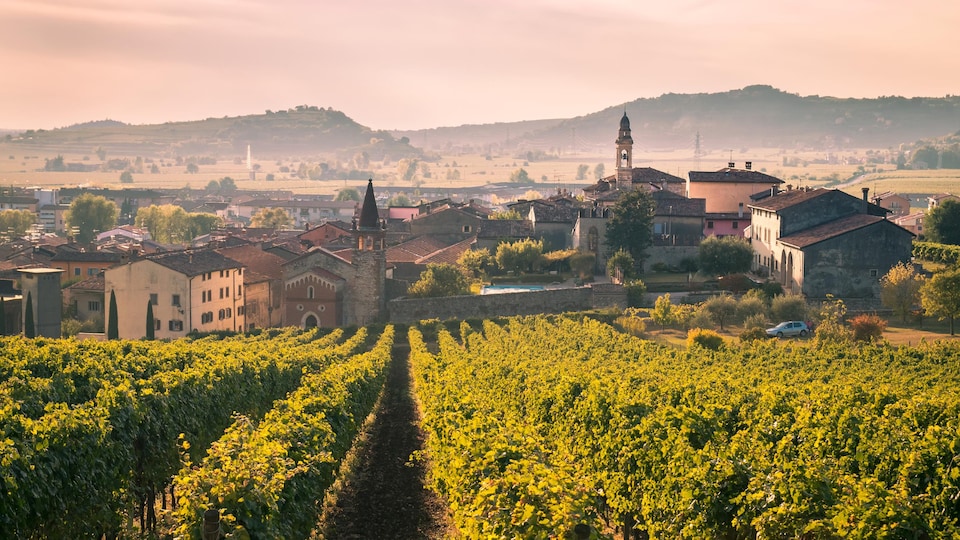 Une vue de la commune de Soave, dans le nord de l'Italie